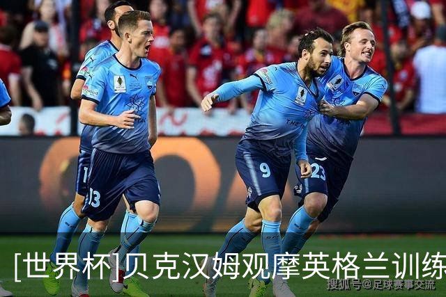 [世界杯]贝克汉姆观摩英格兰训练 凯恩淡看射手之争